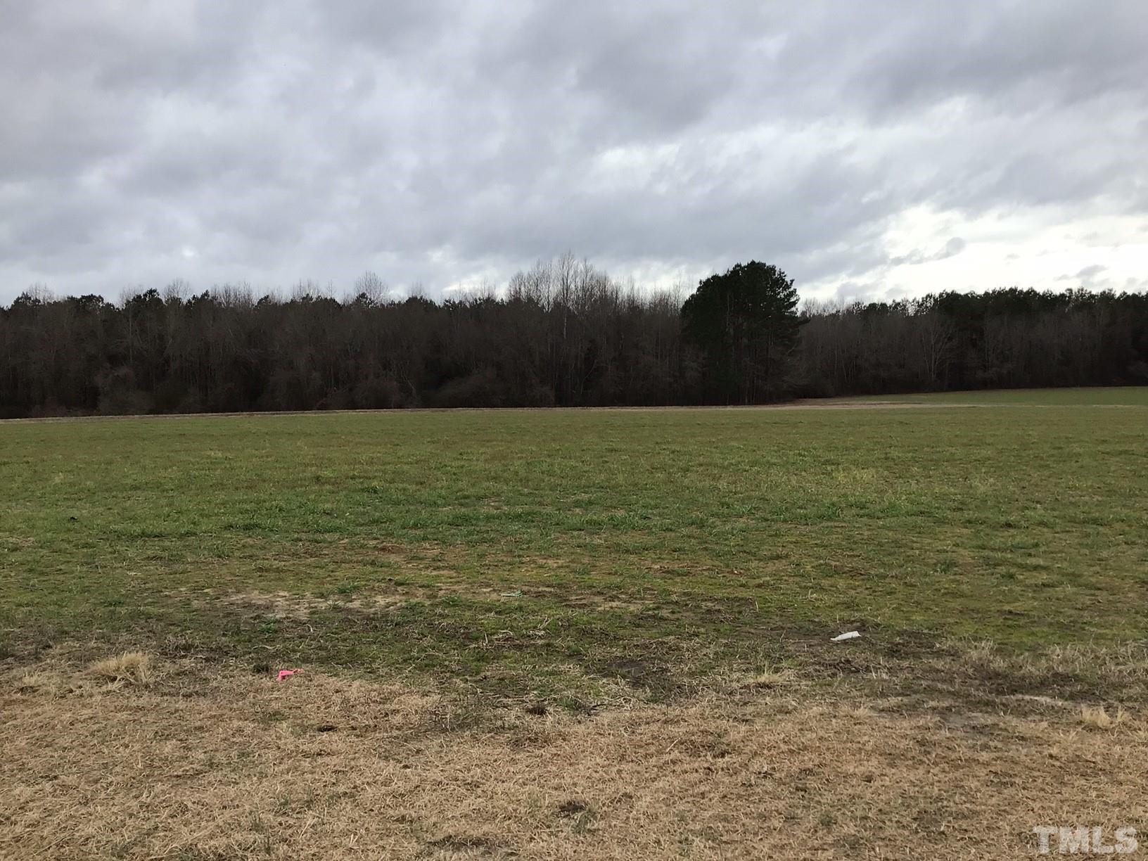 13920 Old Stage Road Willow Spring, NC 27592 - Photo 3 of 11 a view of an ocean