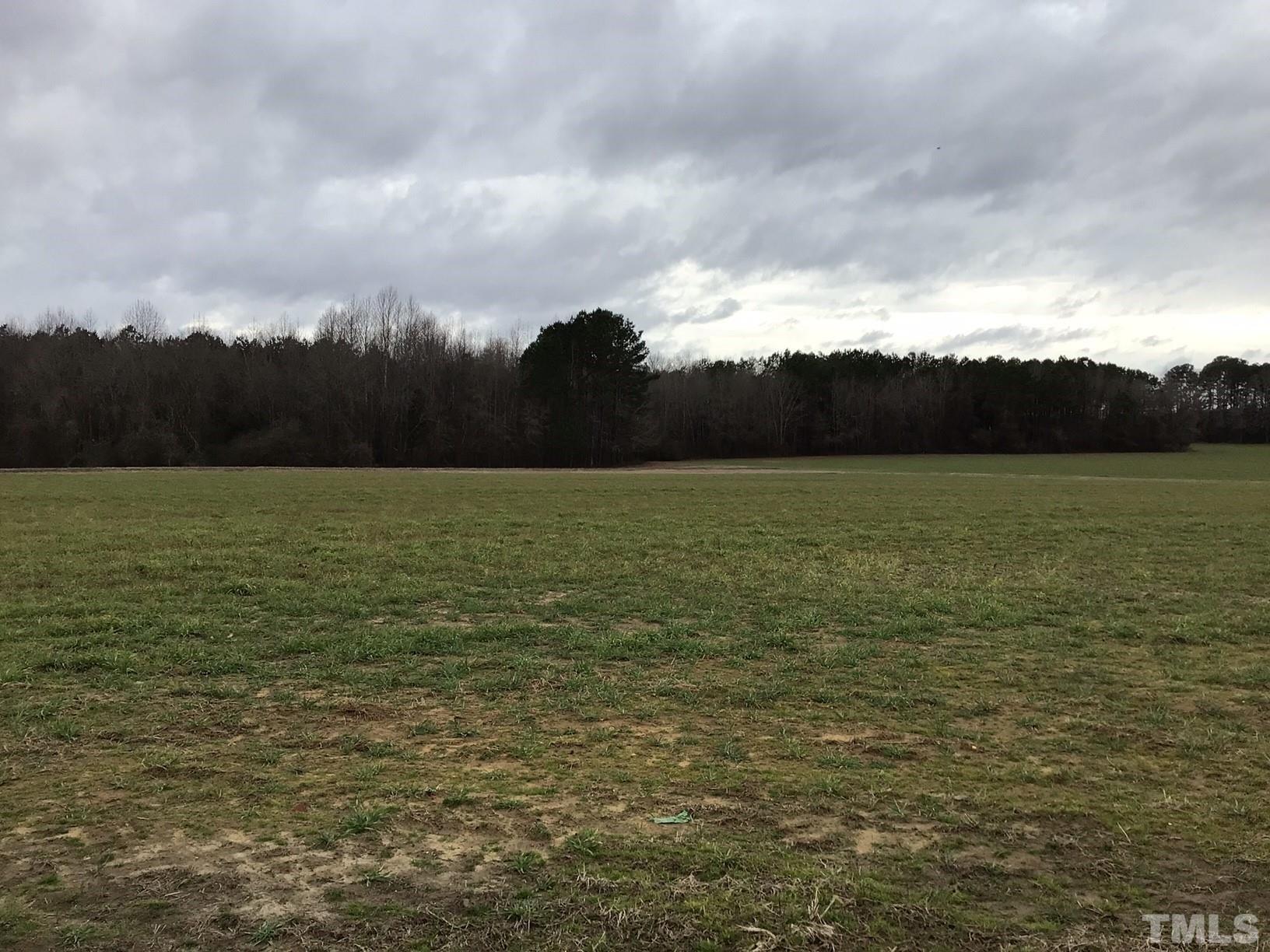 13920 Old Stage Road Willow Spring, NC 27592 - Photo 6 of 11