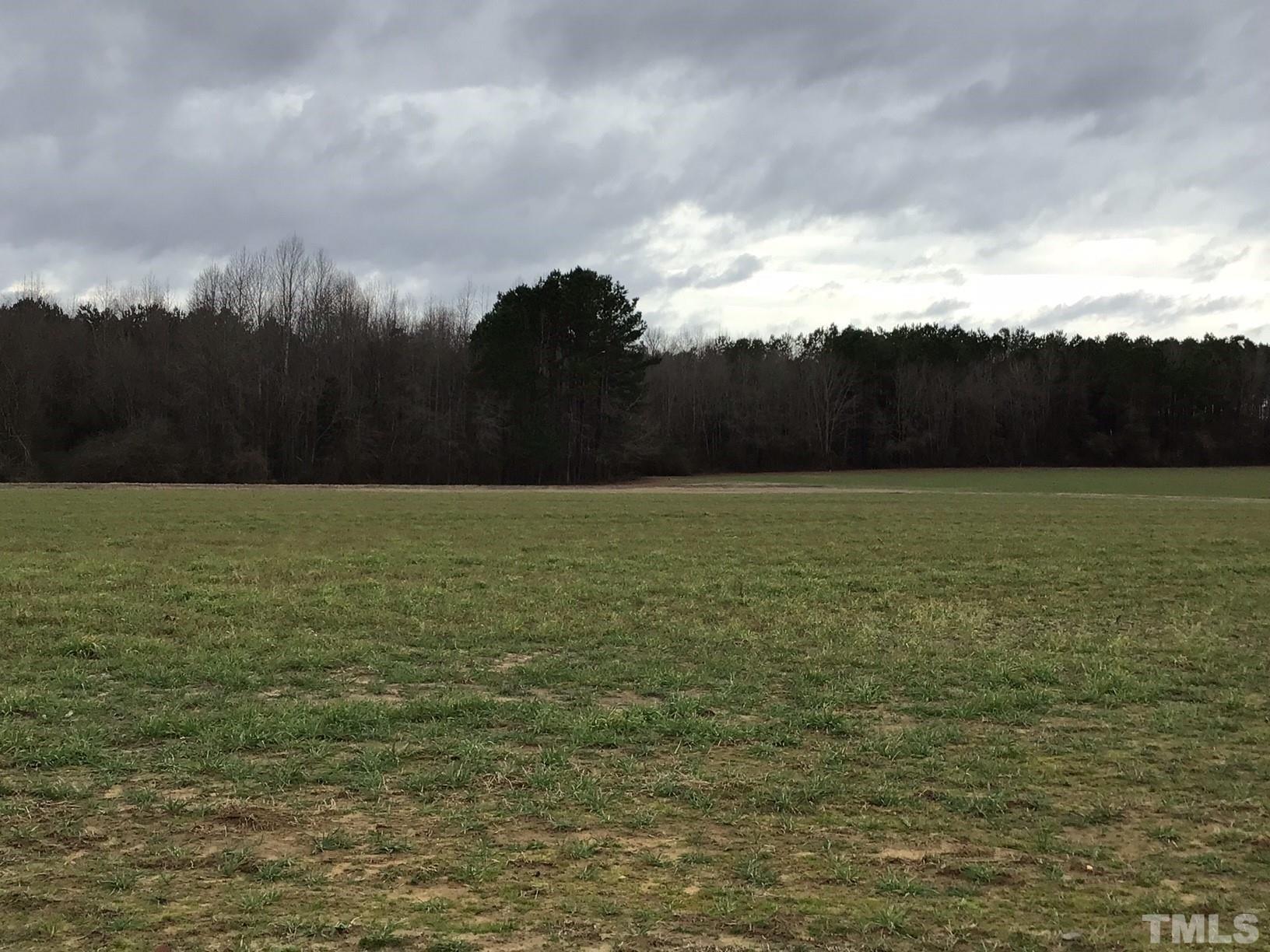 13920 Old Stage Road Willow Spring, NC 27592 - Photo 7 of 11 a view of a lake view and mountain view