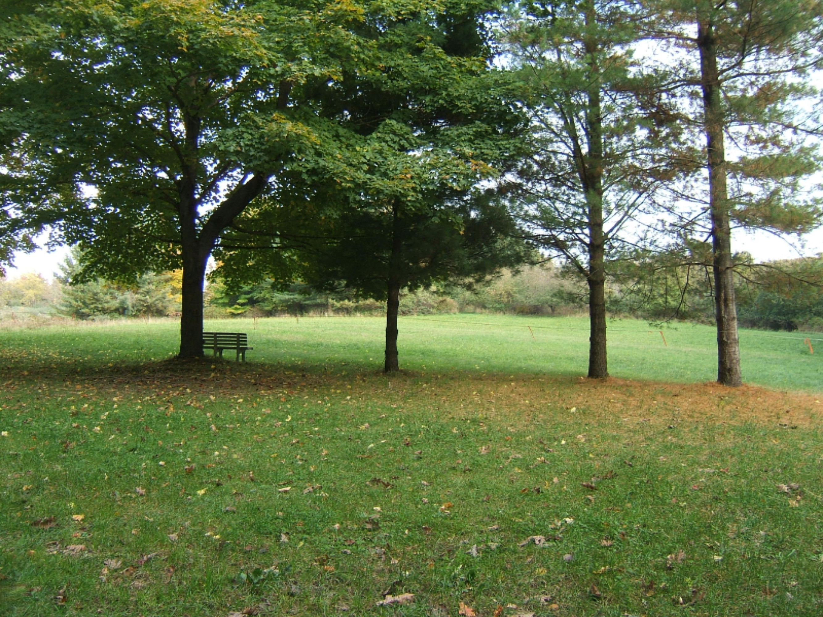 8145 Eilers Road, Unit 11 Montague, MI 49437 - Photo 22 of 28 DSCF5184