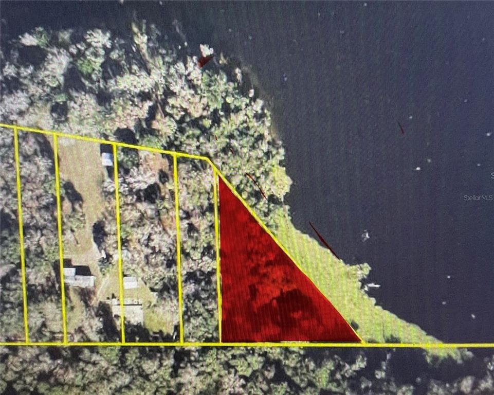 Tbd Northeast 245th Street Road Fort McCoy, FL 32134 - Photo 4 of 4
