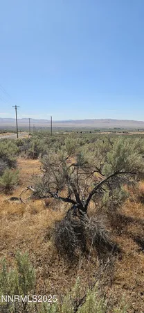 a view of a pathway with a yard