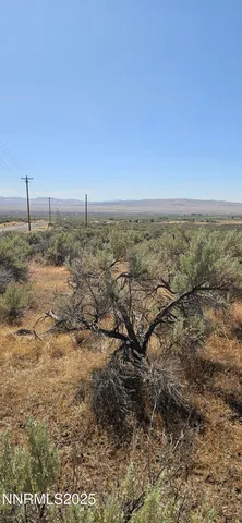 a view of a pathway with a yard