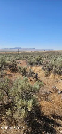 an aerial view of ocean and trees