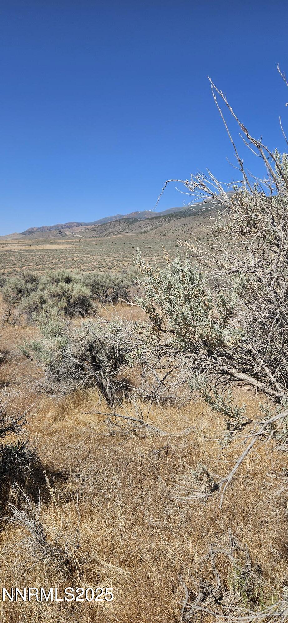 12170 Rye Patch Reservoir Road Lovelock, NV 89419 - Photo 8 of 11 12170 R photo 6