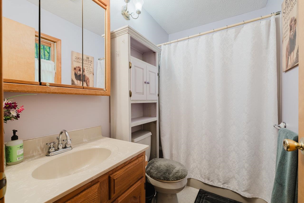 256 Back Road Shenandoah, VA 22849 - Photo 26 of 61 Gallery Image 26