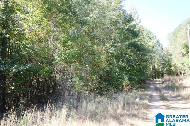 0 County Road 928, Unit 19 Delta, AL 36258 - Photo 32 of 43