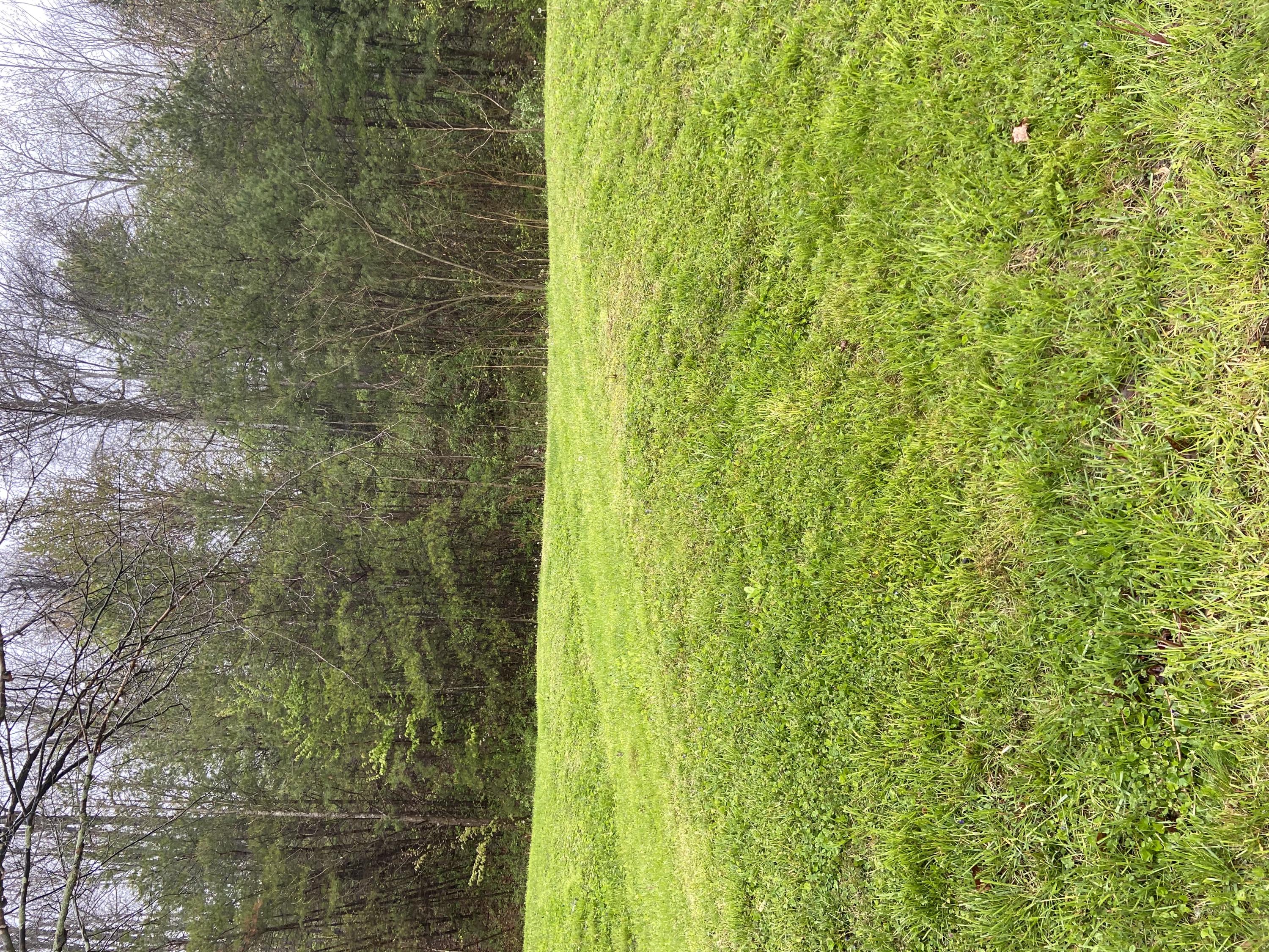 310 Freestone Road Morehead, KY 40351 - Photo 27 of 28 CD7EB62B-E600-4DEF-BE9C-97450188A4C0