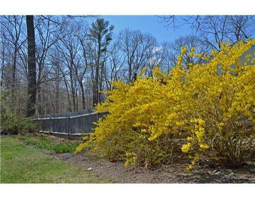 24 Olde Fort Road Cape Elizabeth, ME 04107 - Photo 23 of 25 Yard/Garden.