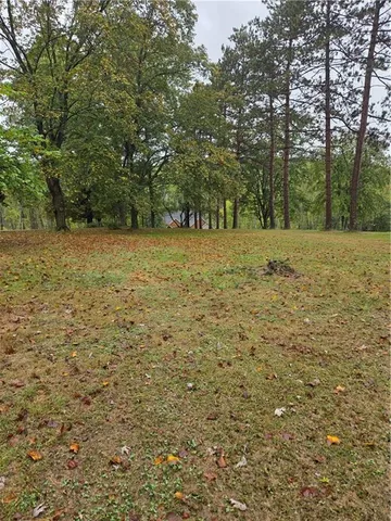 a view of a yard with trees