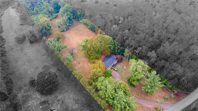 a view of a tree with yard