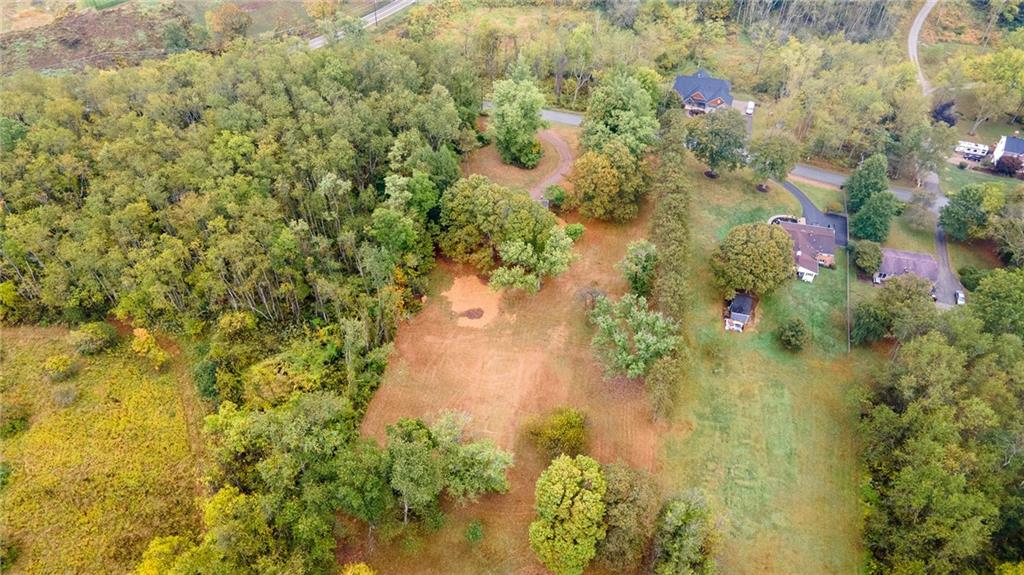 497 Ross Road Eighty Four, PA 15330 - Photo 7 of 35 a close up of a plant in a garden
