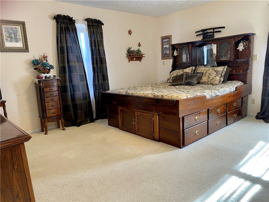 480 Ballard Road Pelzer, SC 29669 - Photo 12 of 30 Master Bedroom