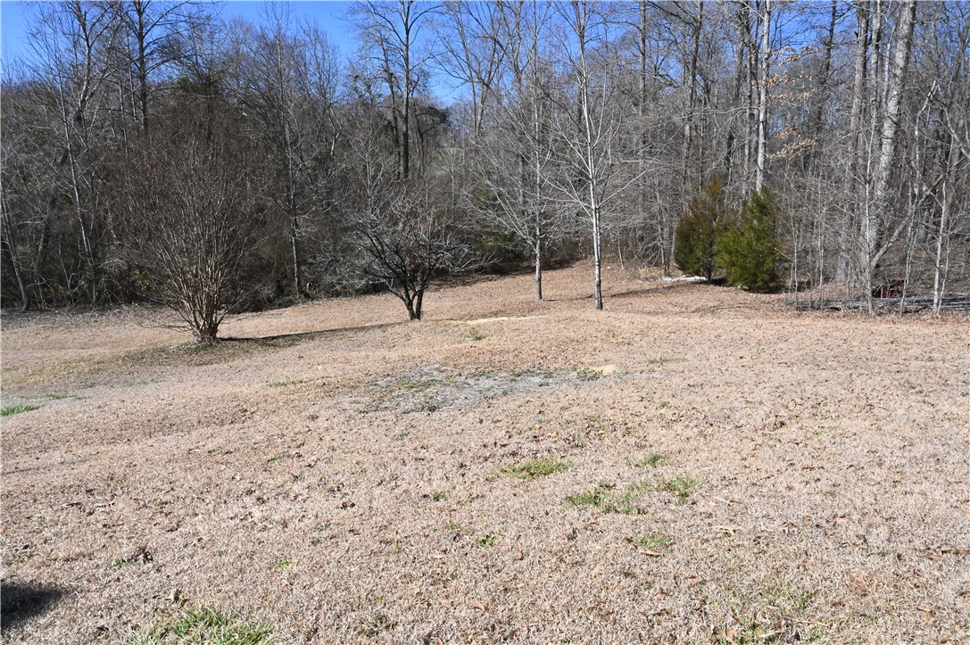 480 Ballard Road Pelzer, SC 29669 - Photo 24 of 30