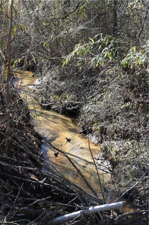 480 Ballard Road Pelzer, SC 29669 - Photo 25 of 30 Creek in Backyard
