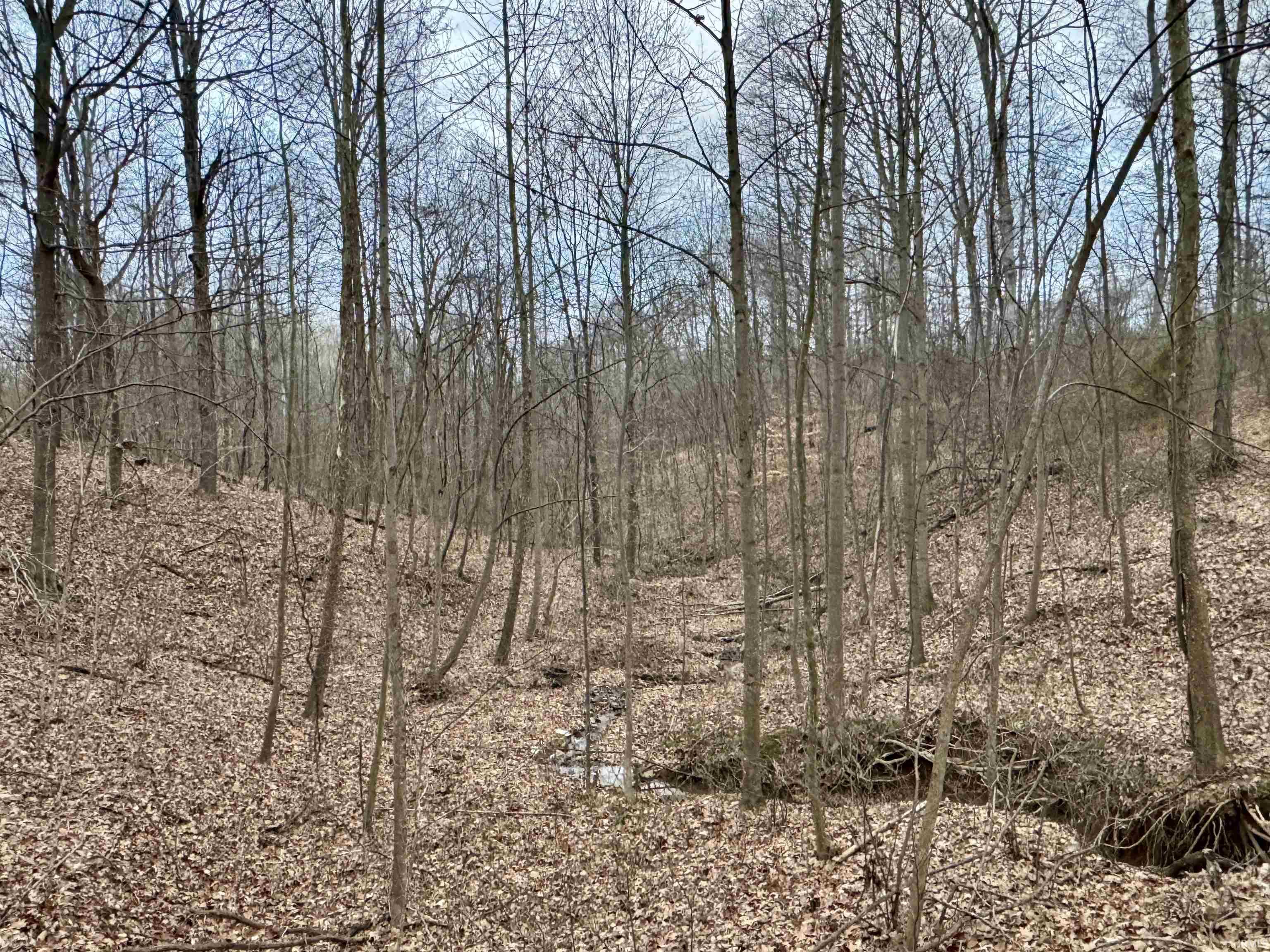 9202 East Garrison Hollow Road Salem, IN 47167 - Photo 17 of 36