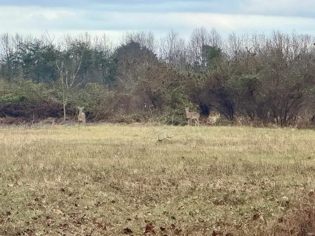 $424,900 | 9202 East Garrison Hollow Road, Salem, IN 47167