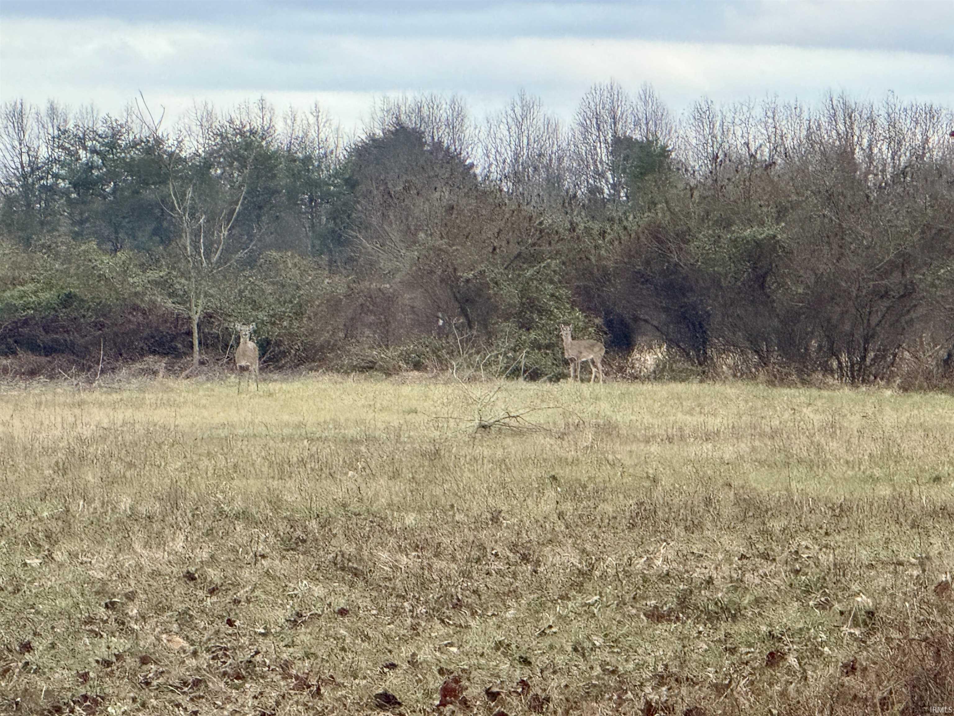 9202 East Garrison Hollow Road Salem, IN 47167 - Photo 19 of 36