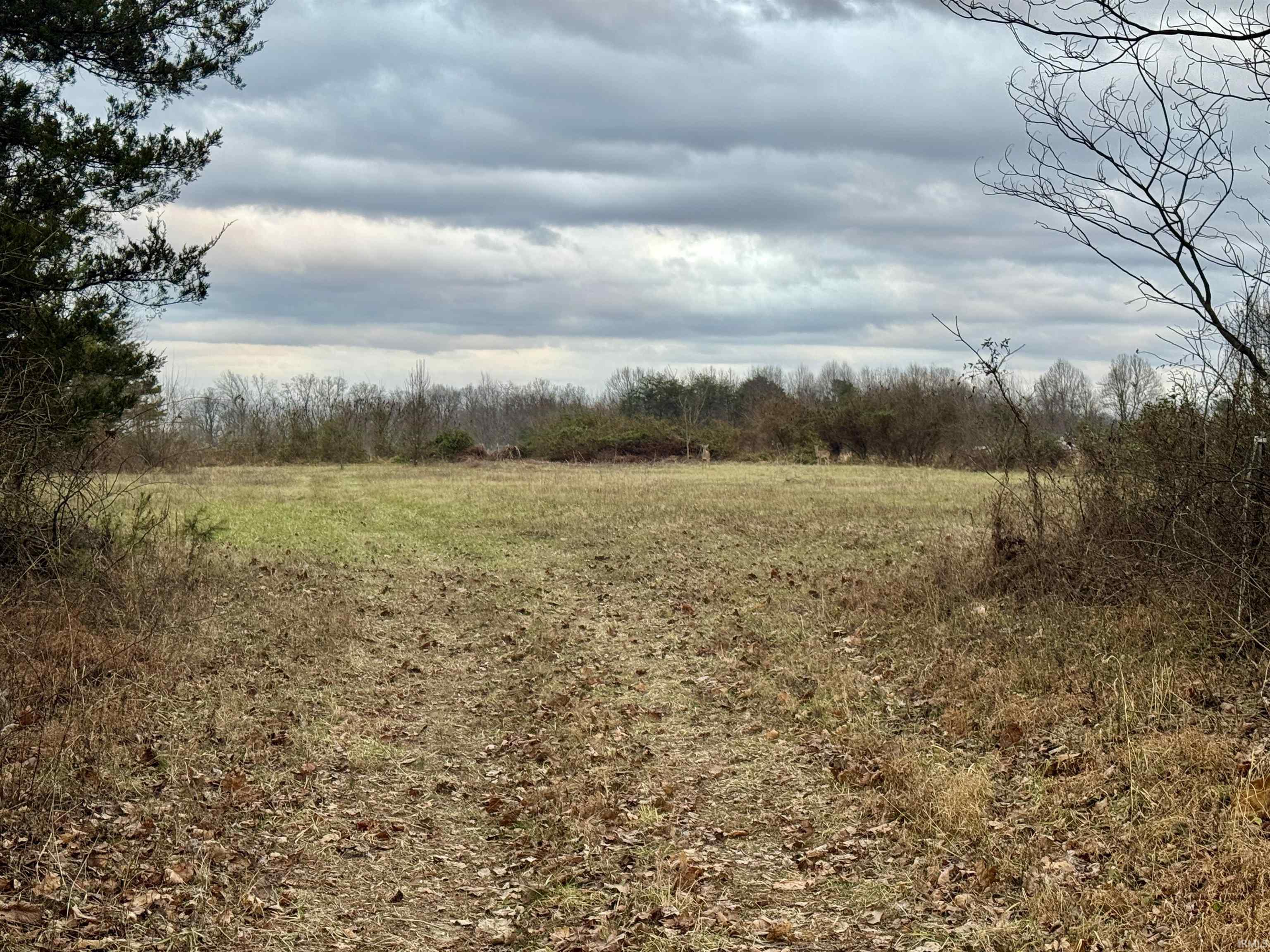 9202 East Garrison Hollow Road Salem, IN 47167 - Photo 20 of 36