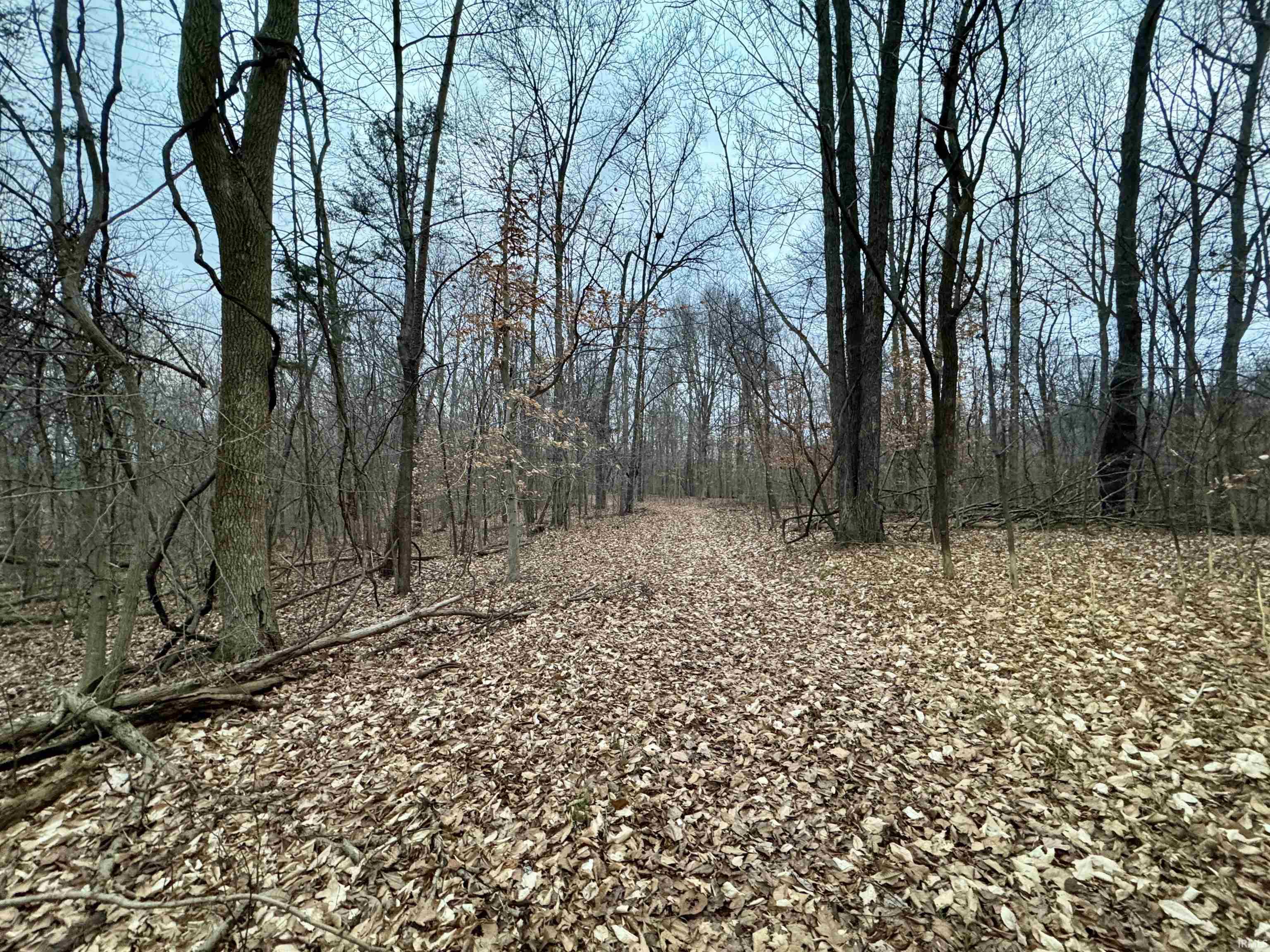 9202 East Garrison Hollow Road Salem, IN 47167 - Photo 22 of 36