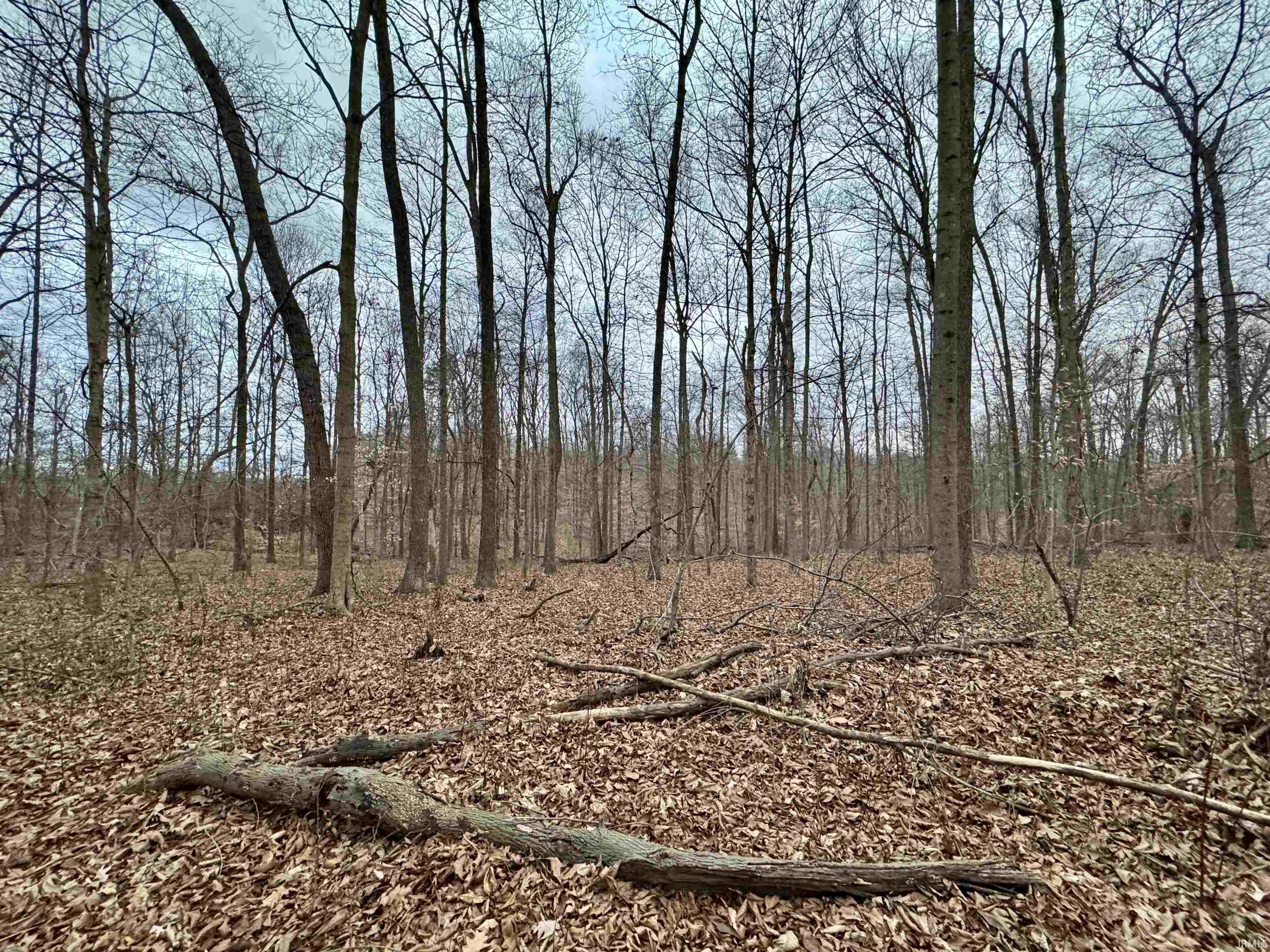 9202 East Garrison Hollow Road Salem, IN 47167 - Photo 23 of 36