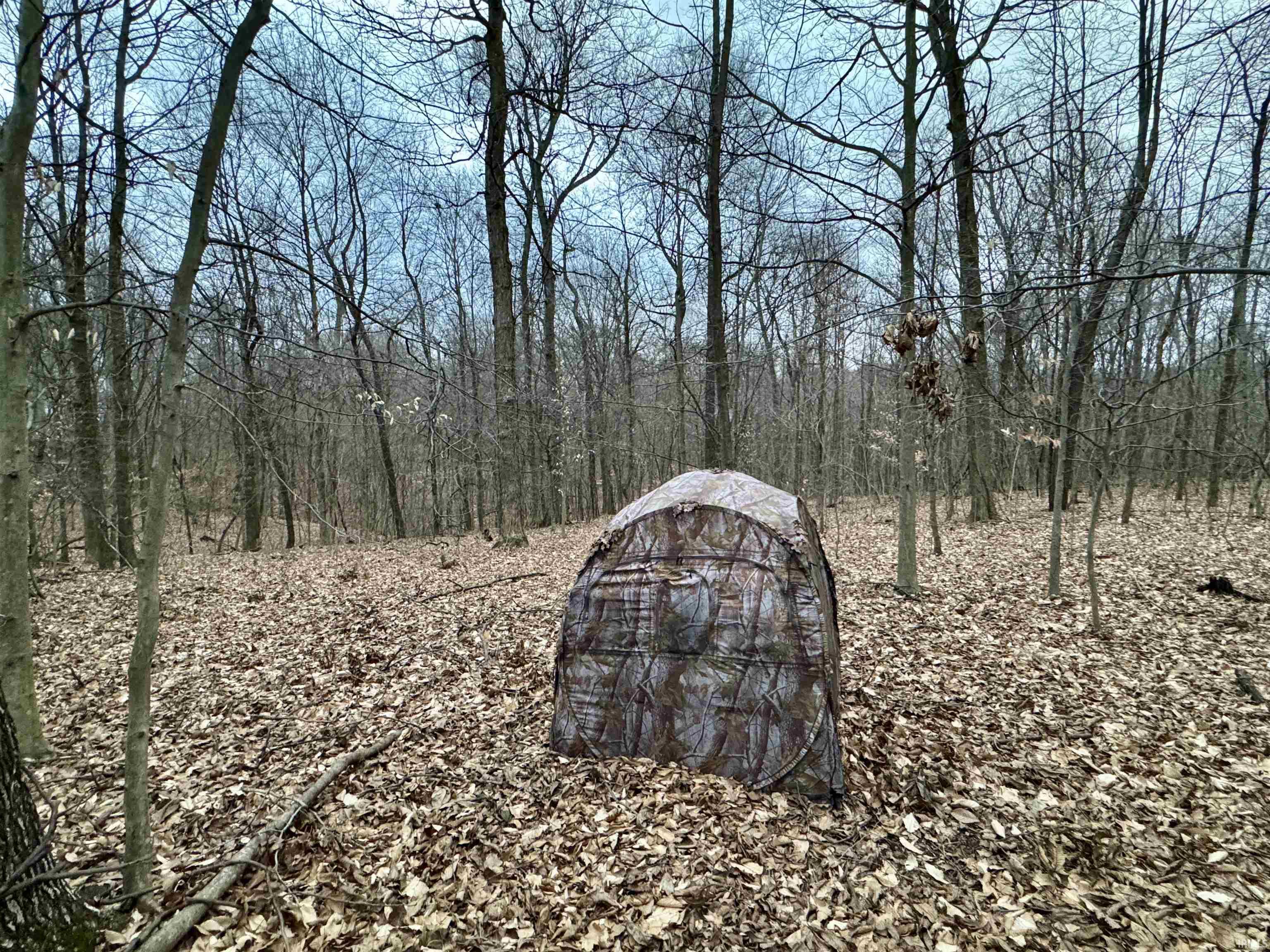 9202 East Garrison Hollow Road Salem, IN 47167 - Photo 27 of 36