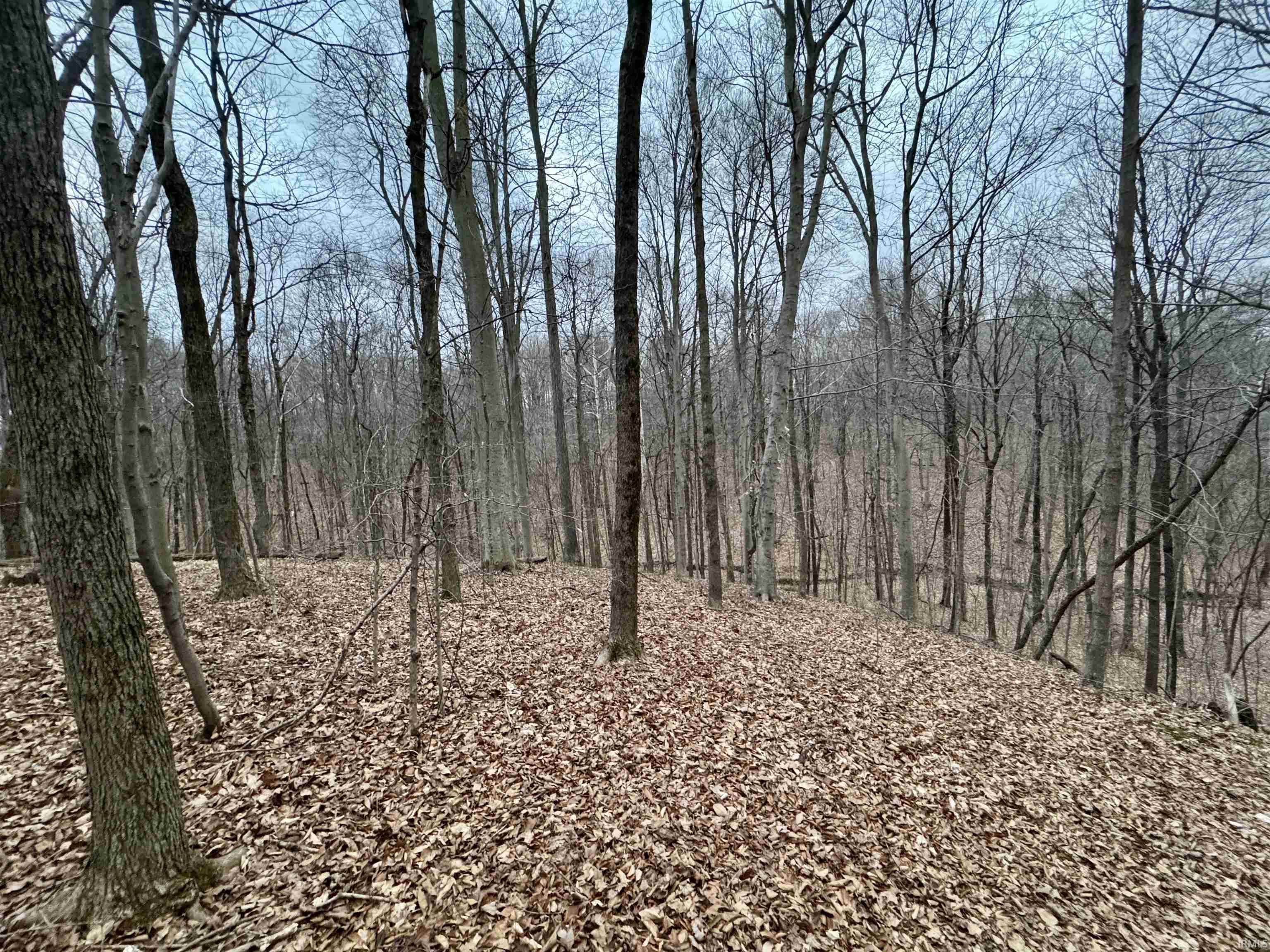 9202 East Garrison Hollow Road Salem, IN 47167 - Photo 29 of 36