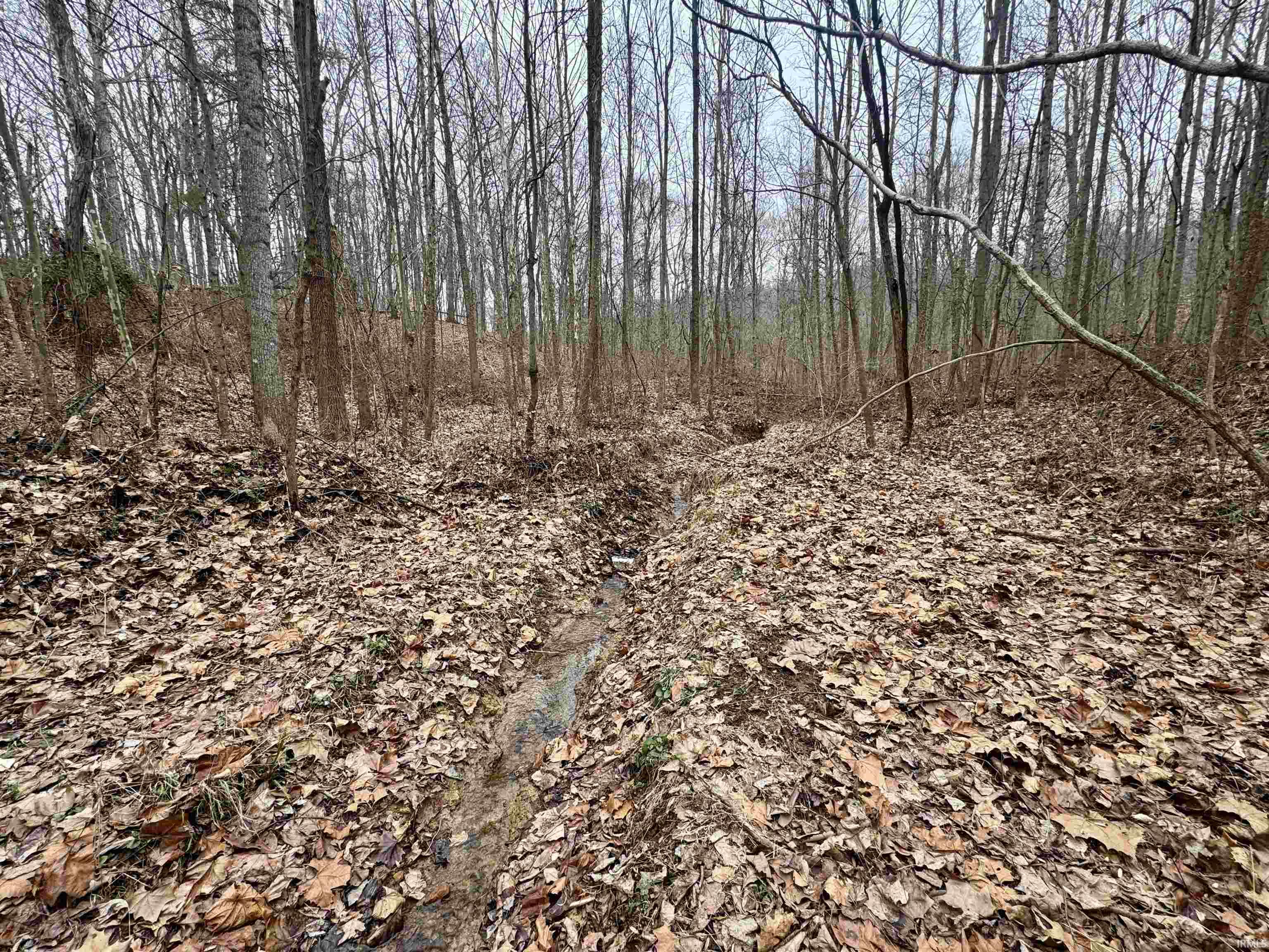 9202 East Garrison Hollow Road Salem, IN 47167 - Photo 30 of 36