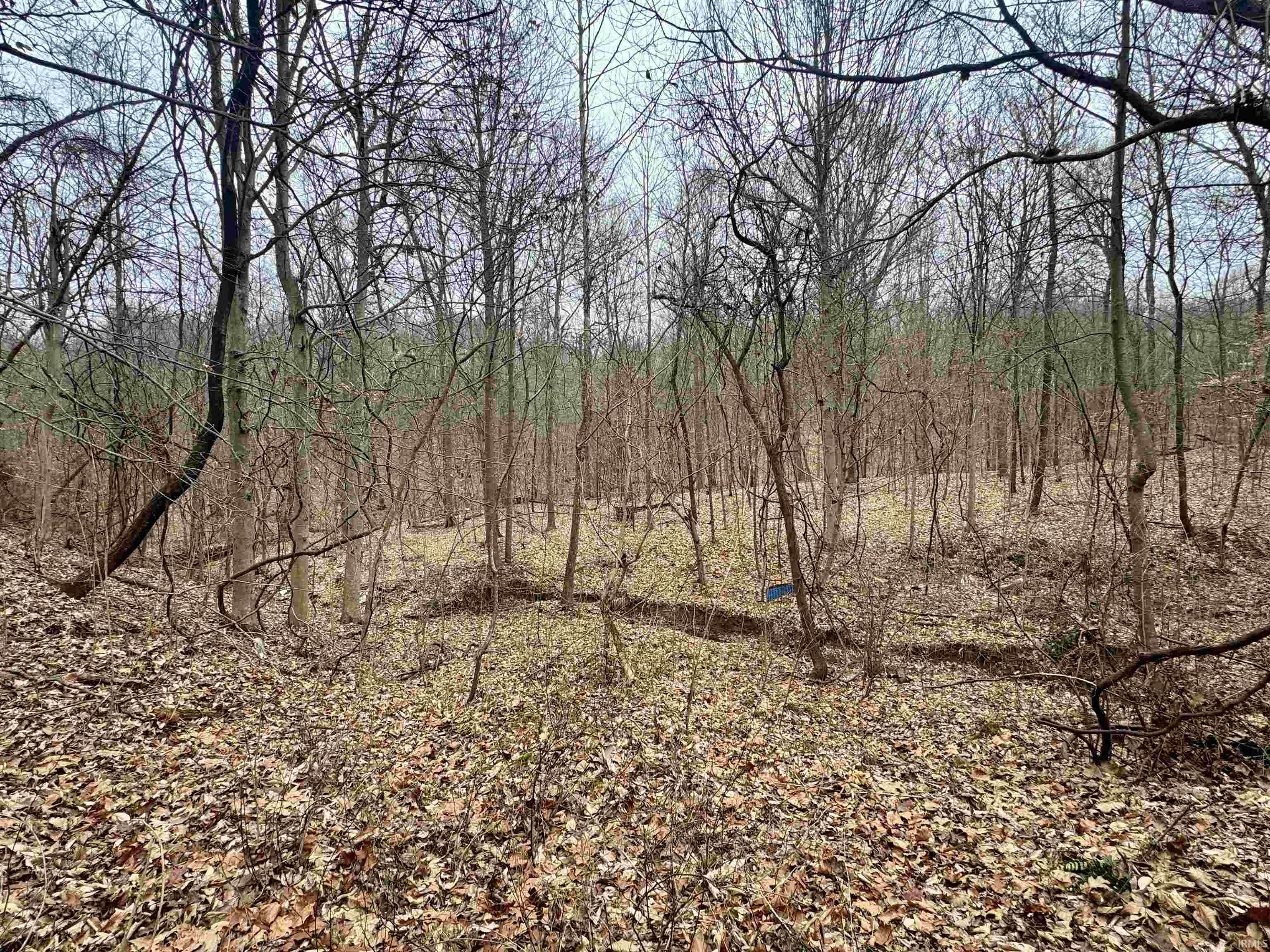 9202 East Garrison Hollow Road Salem, IN 47167 - Photo 31 of 36