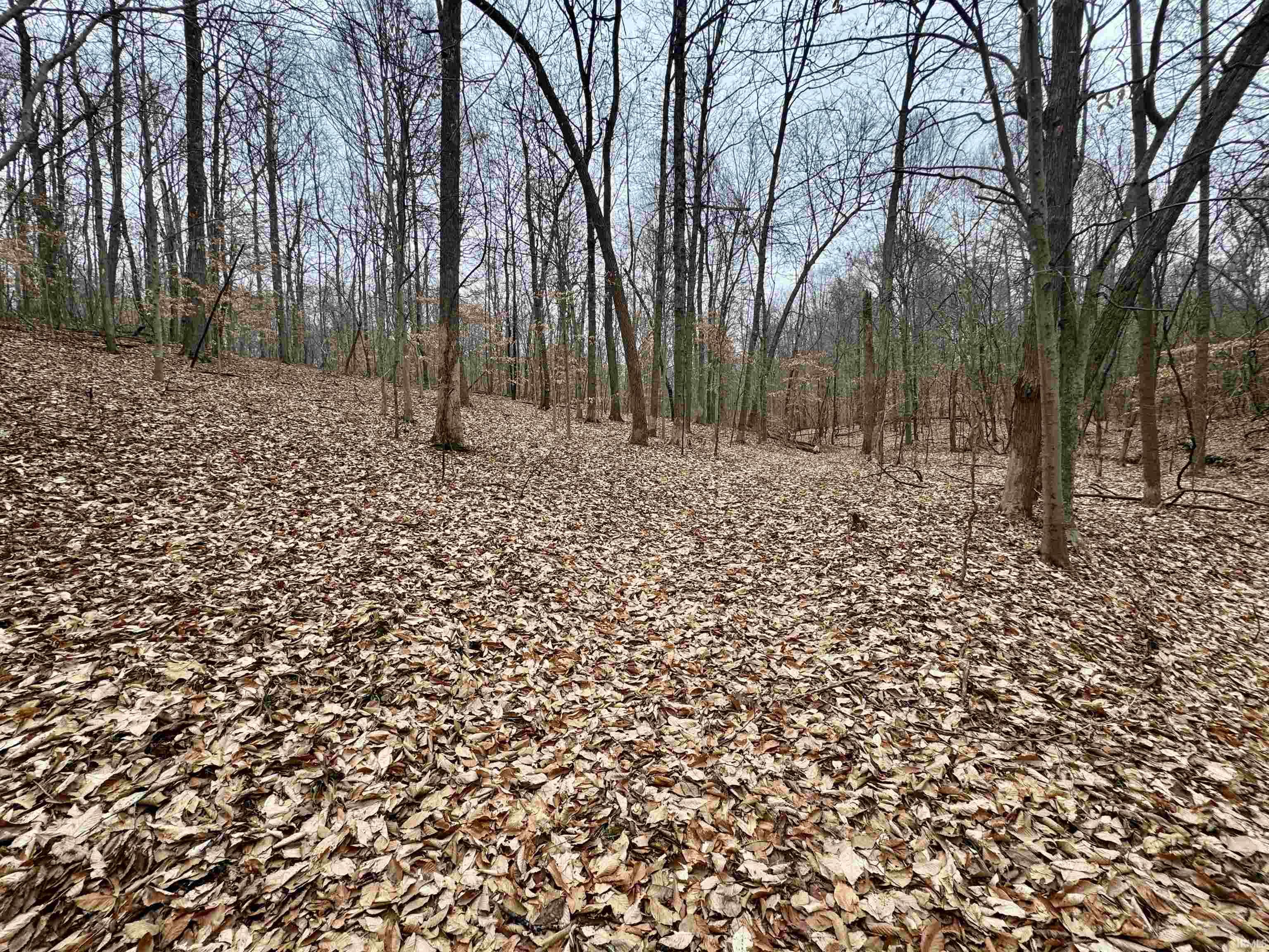 9202 East Garrison Hollow Road Salem, IN 47167 - Photo 34 of 36