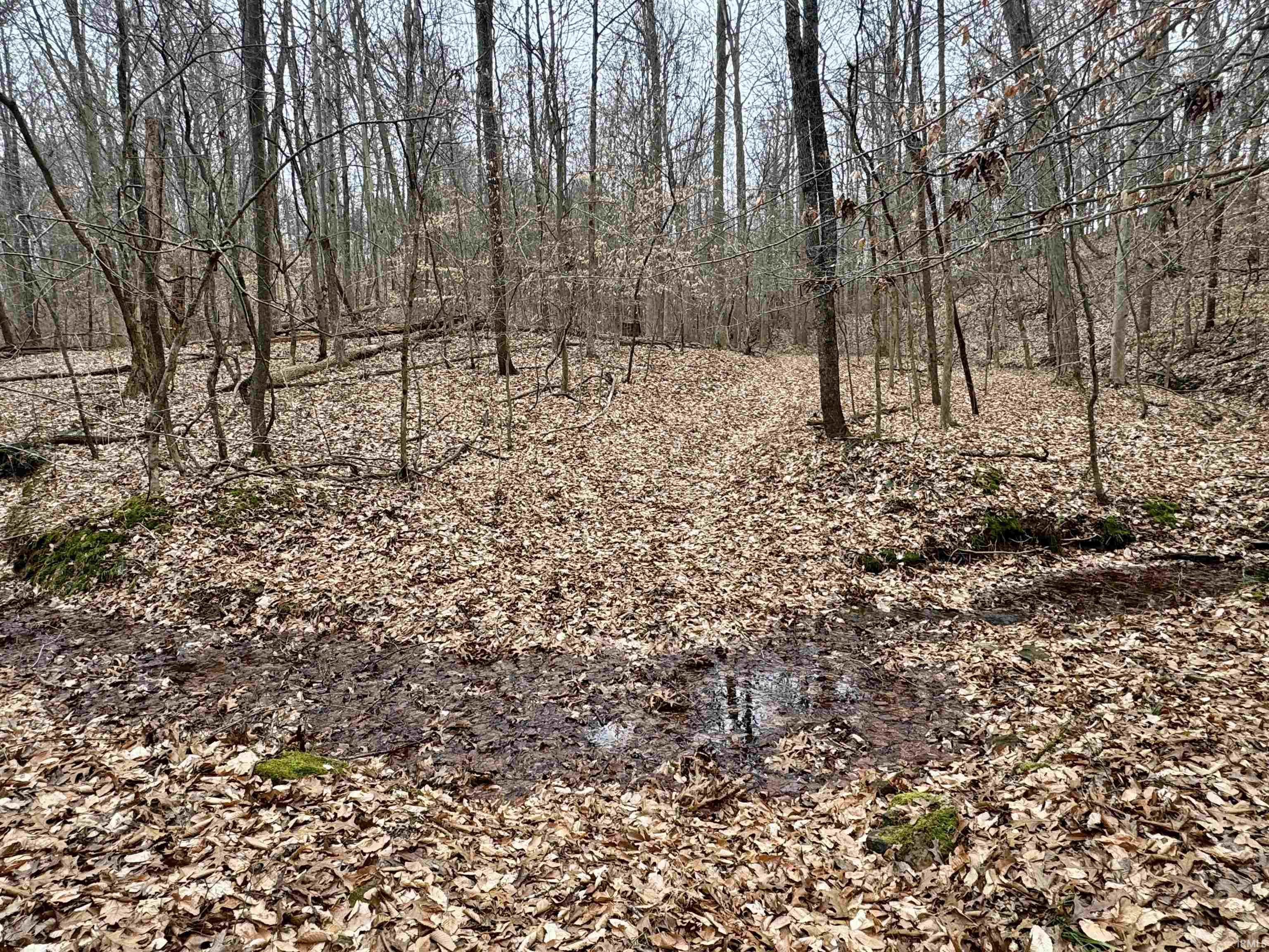 9202 East Garrison Hollow Road Salem, IN 47167 - Photo 35 of 36