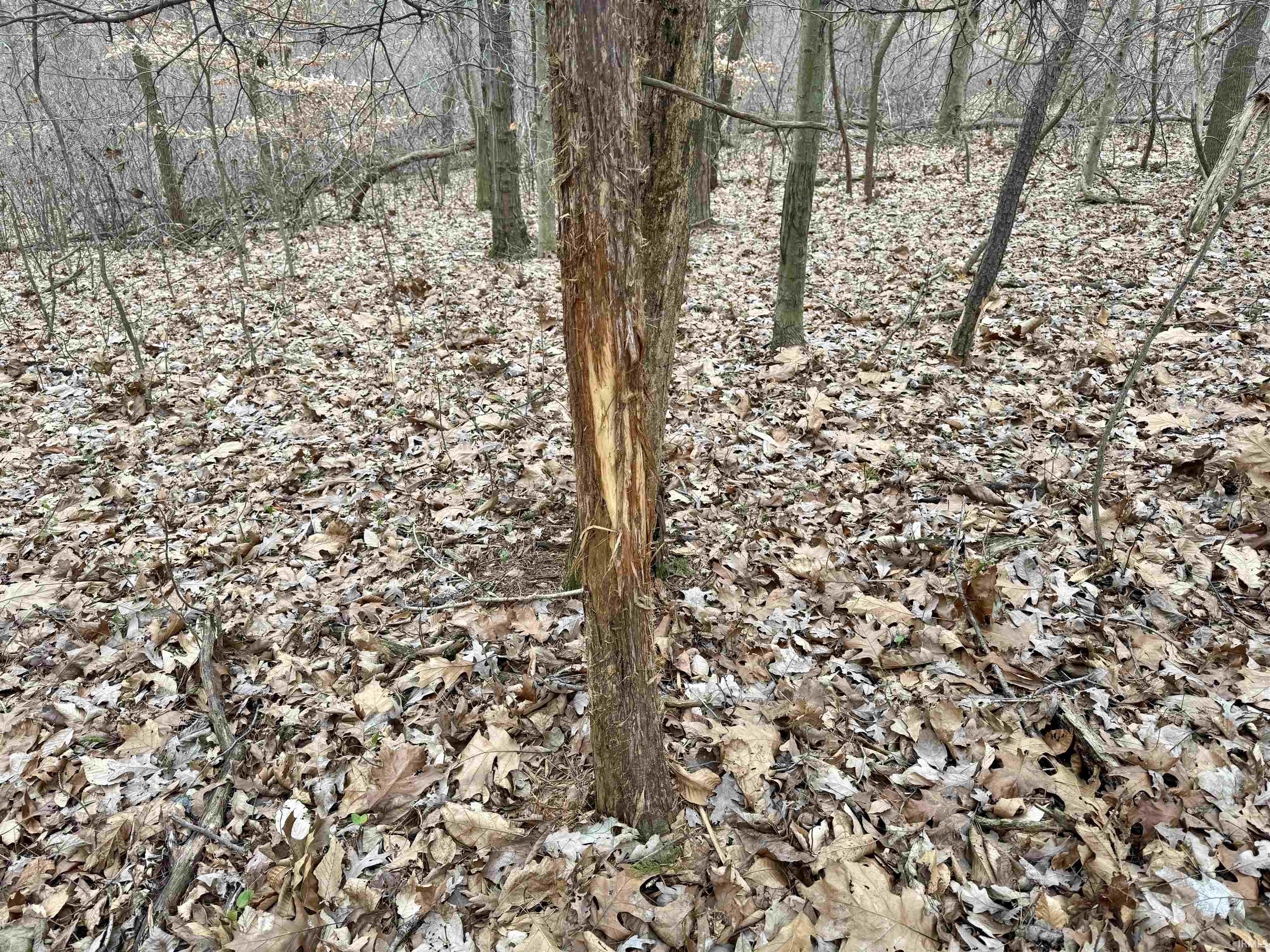 9202 East Garrison Hollow Road Salem, IN 47167 - Photo 36 of 36