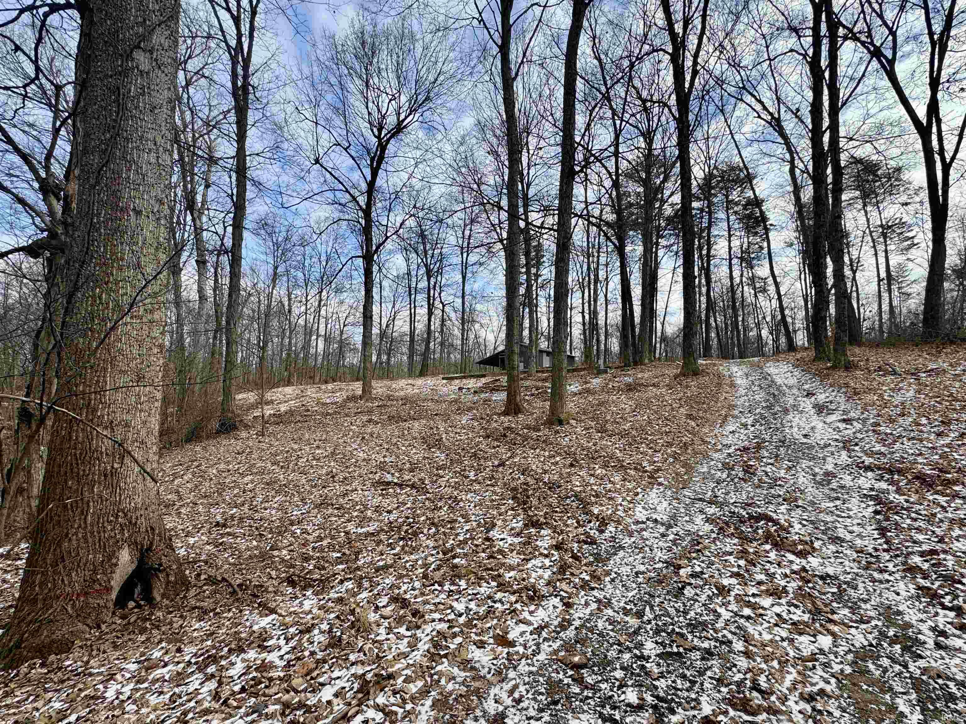 9202 East Garrison Hollow Road Salem, IN 47167 - Photo 5 of 36