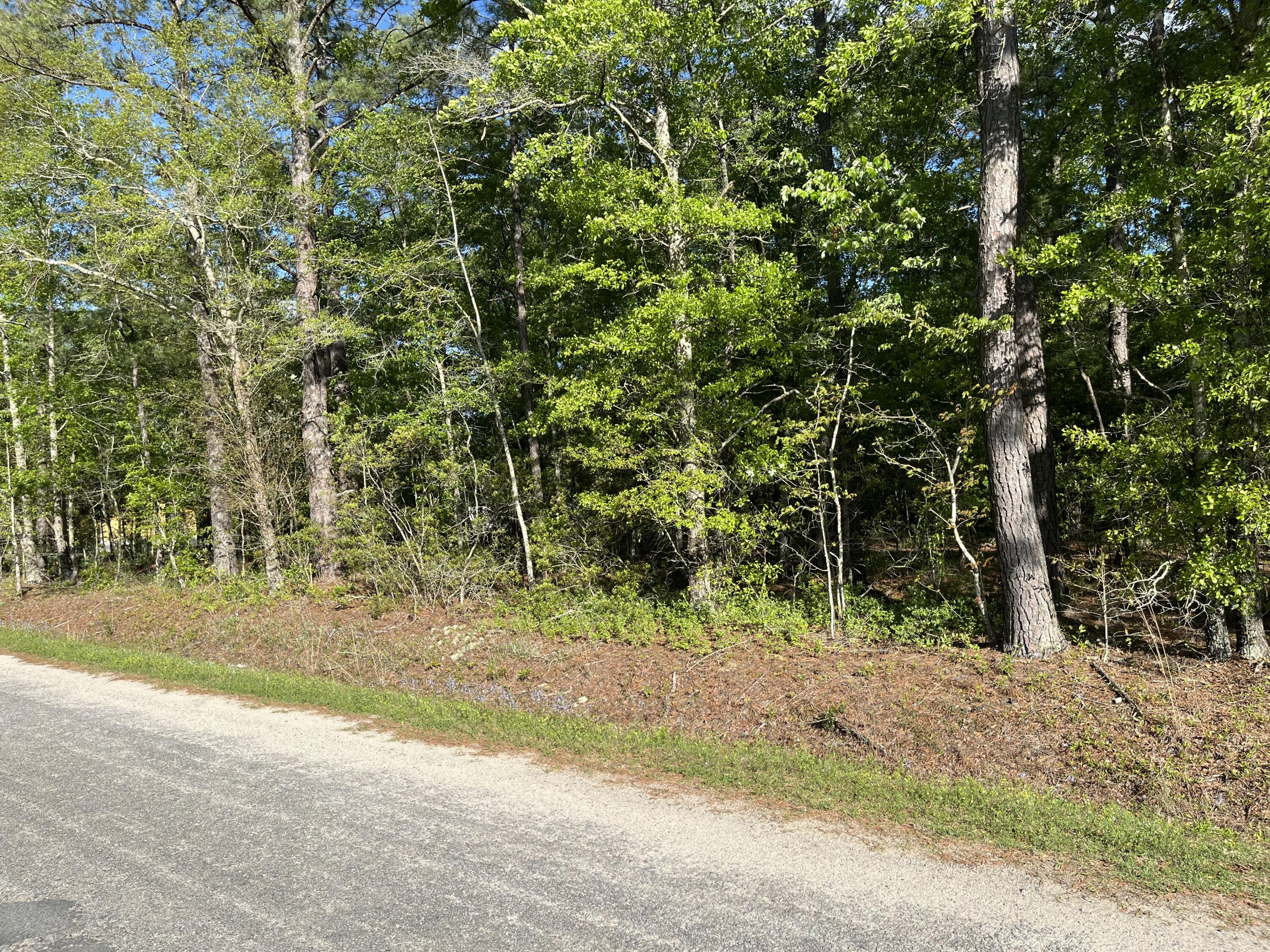 0 Sniders Highway Walterboro, SC 29488 - Photo 1 of 5 0 sniders 3