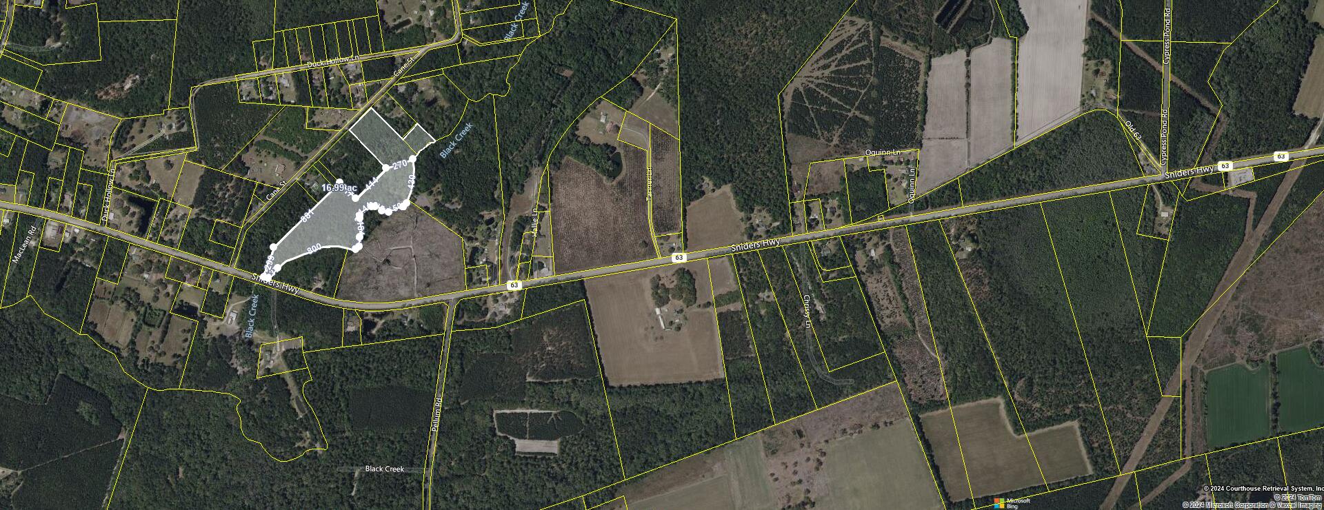 0 Sniders Highway Walterboro, SC 29488 - Photo 3 of 5 0 Sniders Hwy 17 Acres SAT 2