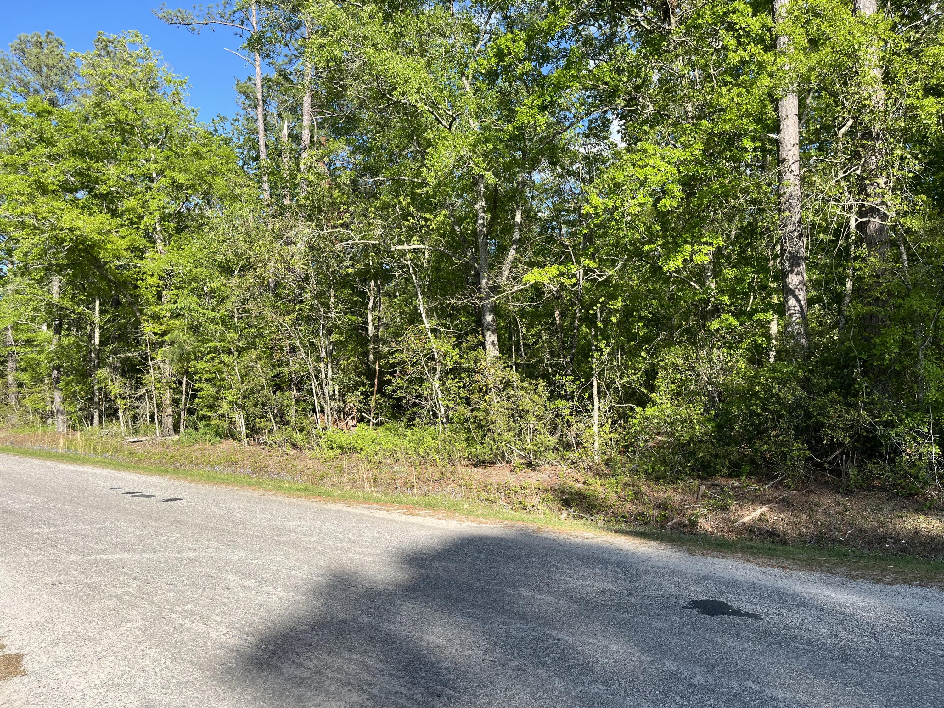 0 Sniders Highway Walterboro, SC 29488 - Photo 5 of 5 0 sniders 2