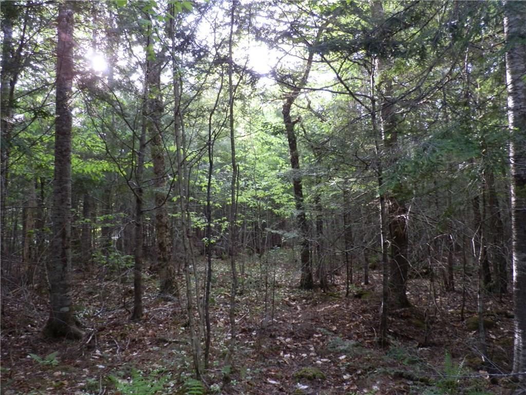 0 Bottle Lake Road Springfield, ME 04487 - Photo 4 of 25 Photo