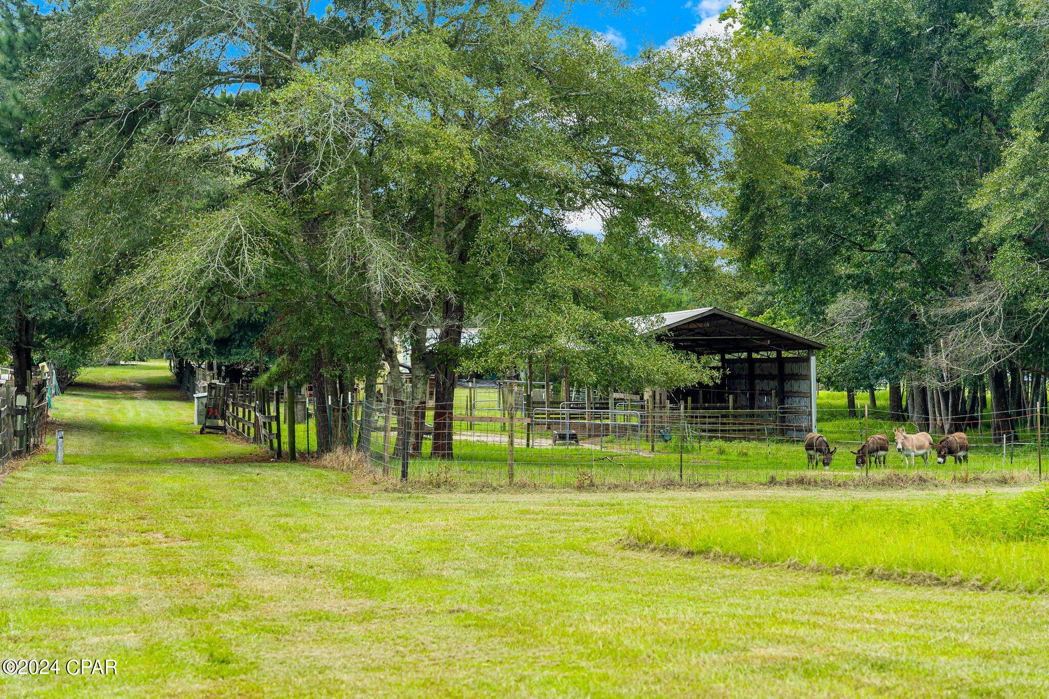 1432 Beaver Dam Road Bonifay, FL 32425 - Photo 90 of 104 Gallery Image 90