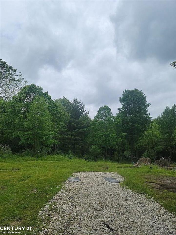 0 Meskill Road Richmond, MI 48062 - Photo 13 of 14