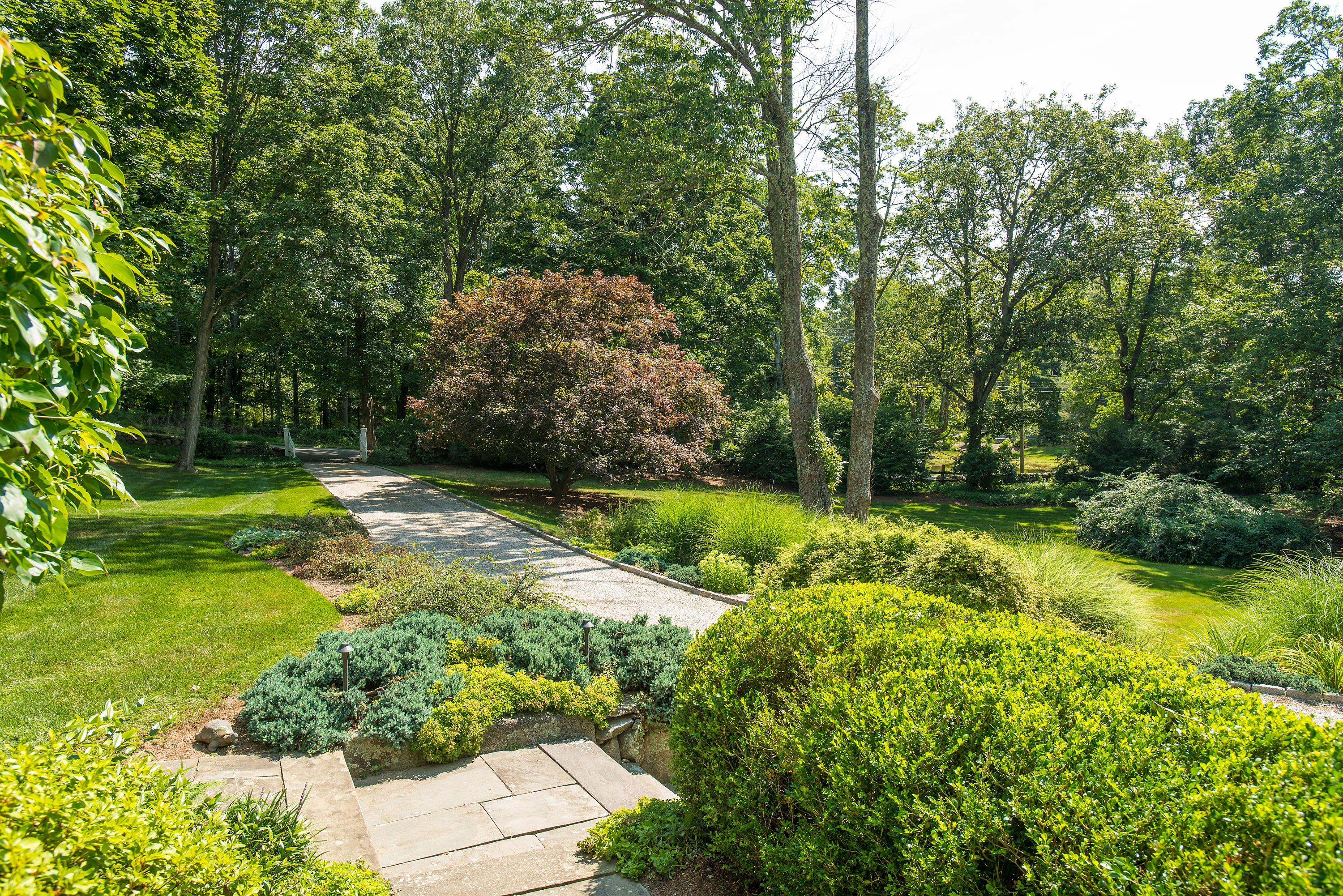 249 Nod Hill Road Wilton, CT 06897 - Photo 34 of 35 a view of a yard with plants and large trees