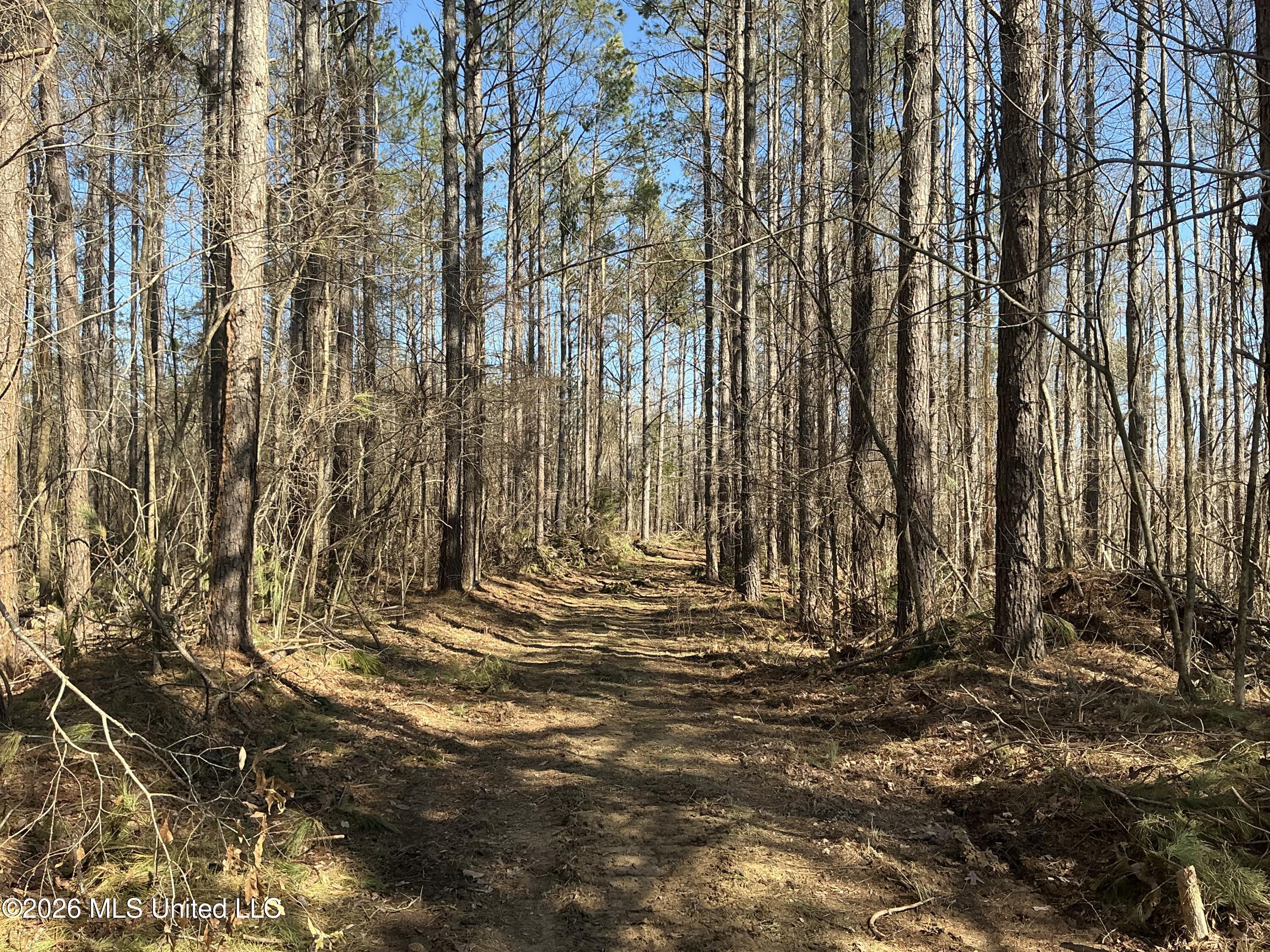Norwood Road Carrollton, MS 38917 - Photo 22 of 28 IMG_0656