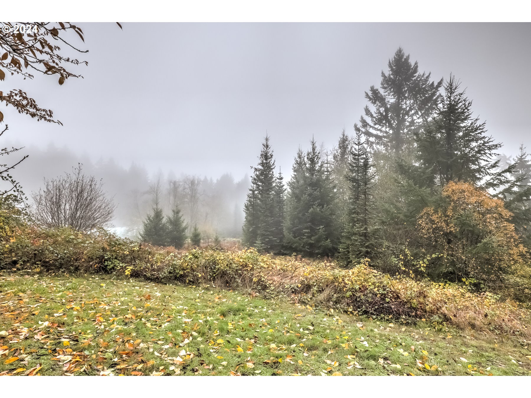 25799 Northwest Green Mountain Road Banks, OR 97106 - Photo 38 of 46