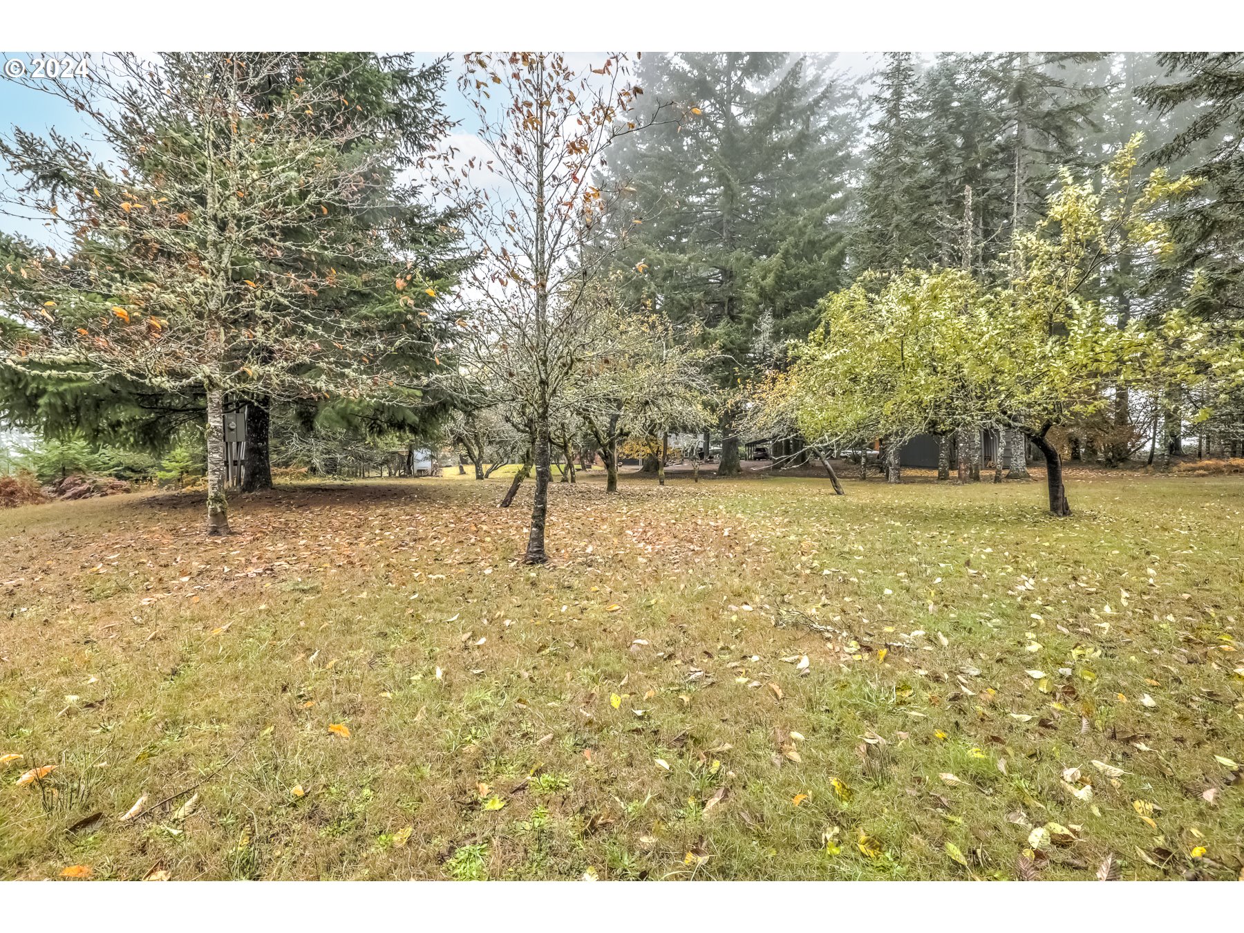 25799 Northwest Green Mountain Road Banks, OR 97106 - Photo 42 of 46