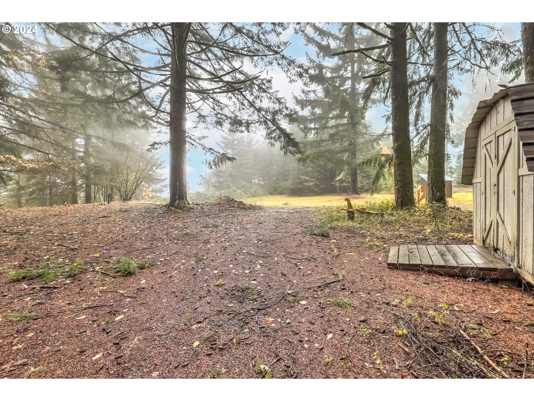 25799 Northwest Green Mountain Road Banks, OR 97106 - Photo 43 of 46 Shed