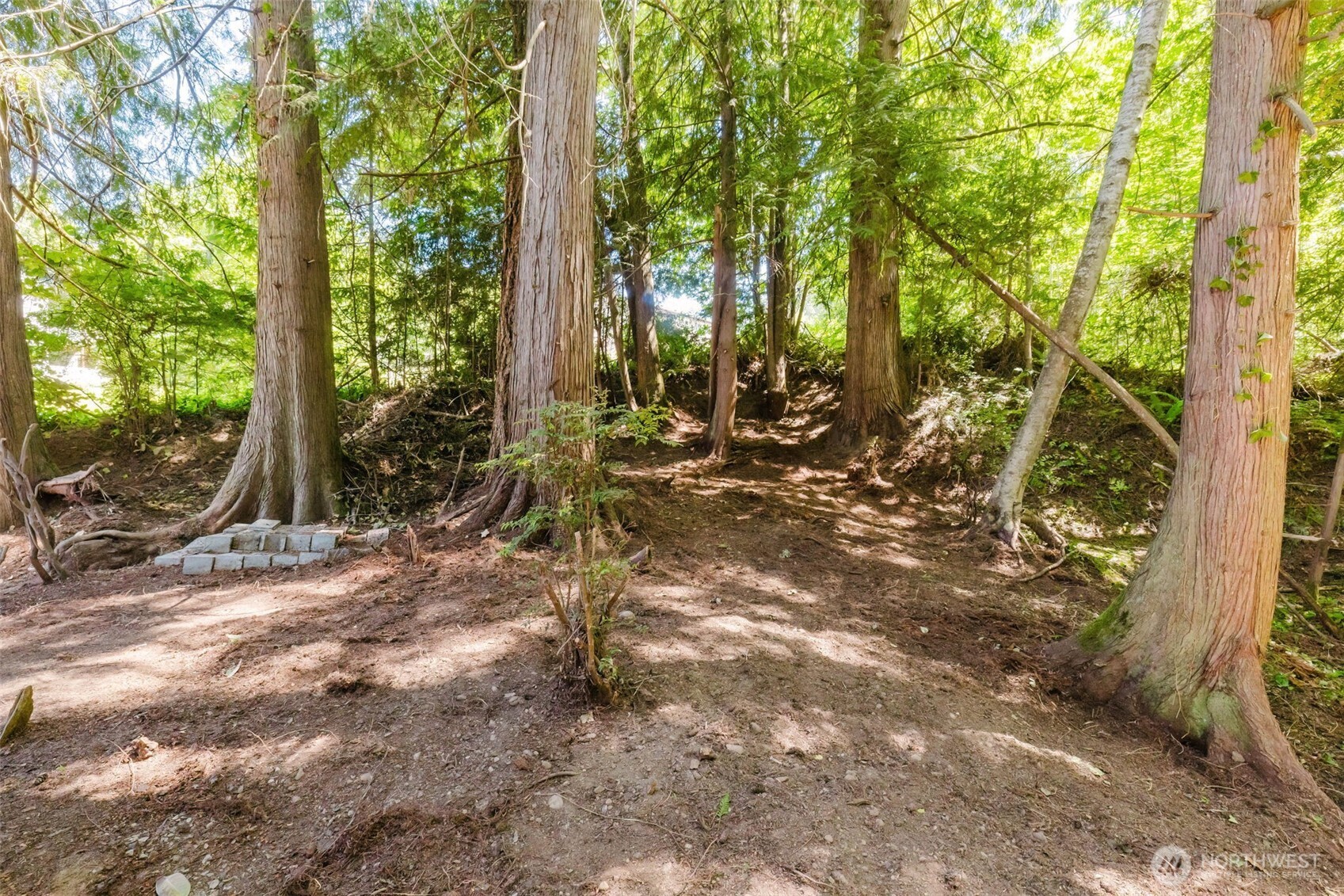 150 East Cedar Street Belfair, WA 98528 - Photo 33 of 40