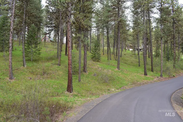 $79,000 | Syringa Drive, New Meadows, ID 83654