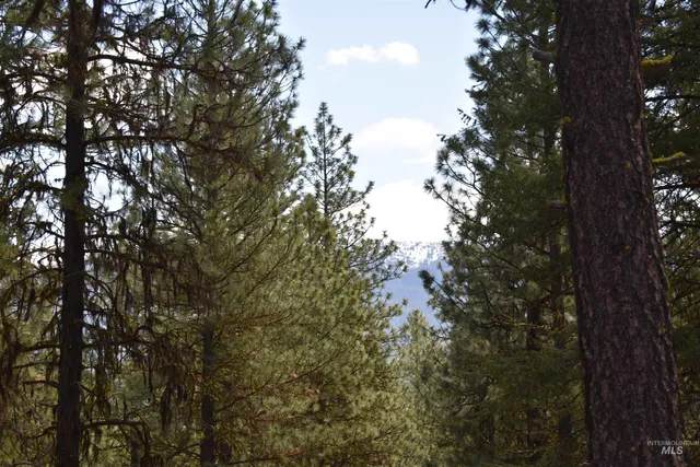 $79,000 | Syringa Drive, New Meadows, ID 83654