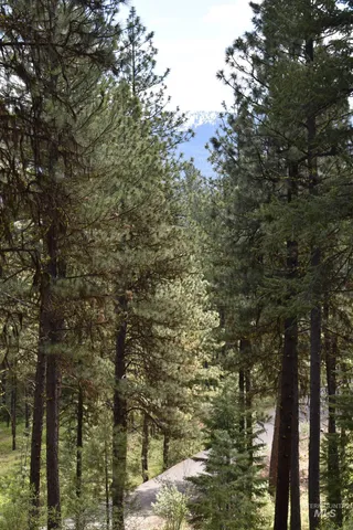 $79,000 | Syringa Drive, New Meadows, ID 83654