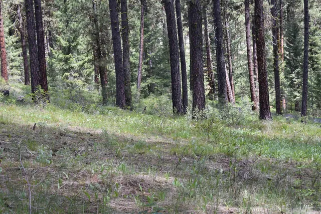 $79,000 | Syringa Drive, New Meadows, ID 83654