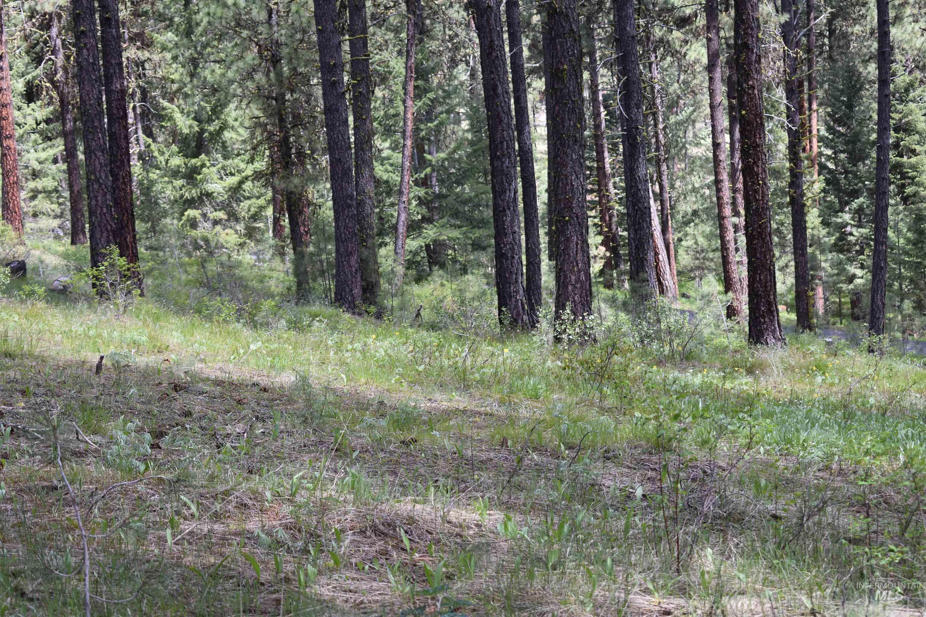 Syringa Drive New Meadows, ID 83654 - Photo 5 of 12